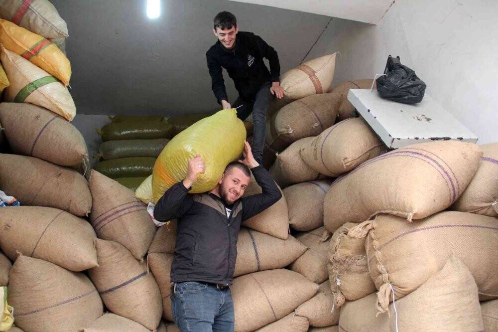 Fındık fiyatları yükselişte