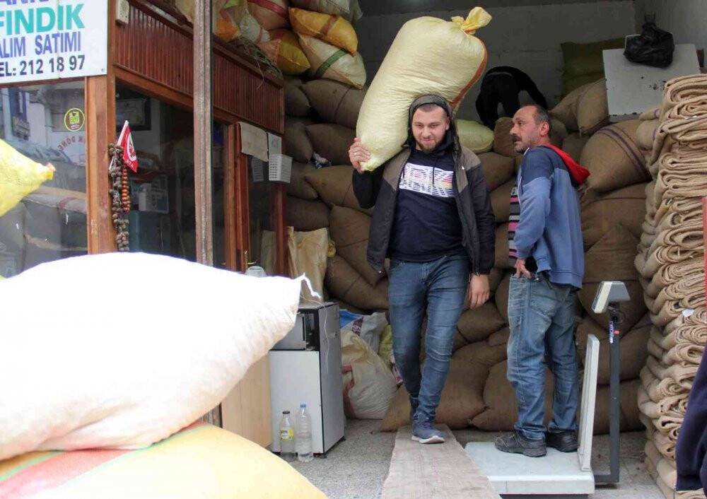 Fındık fiyatları yükselişte