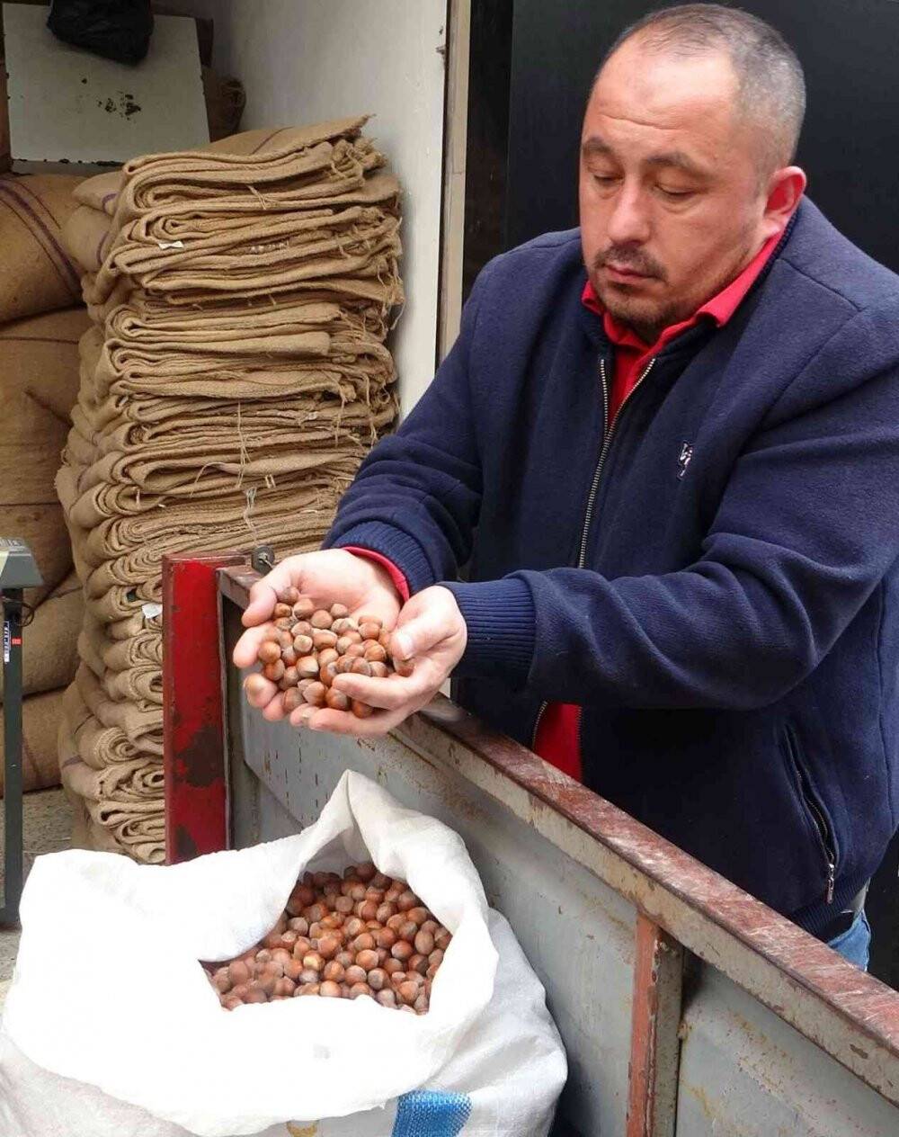 Fındık fiyatları yükselişte