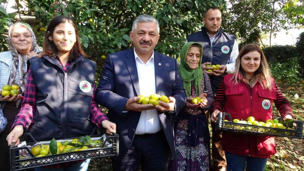 Karadeniz’de hasadı başladı, fındık üreticilerine ek gelir oluyor