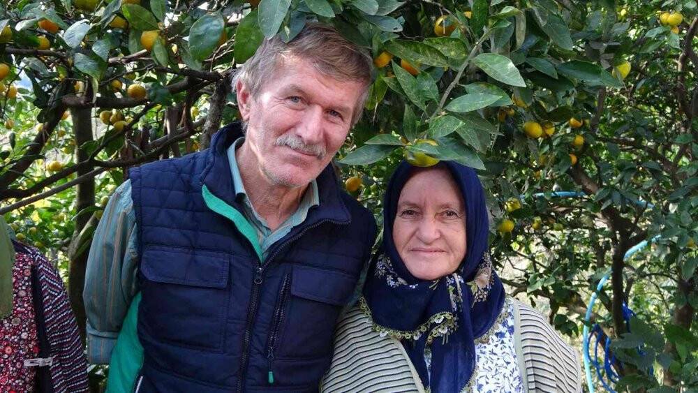 Karadeniz’de hasadı başladı, fındık üreticilerine ek gelir oluyor