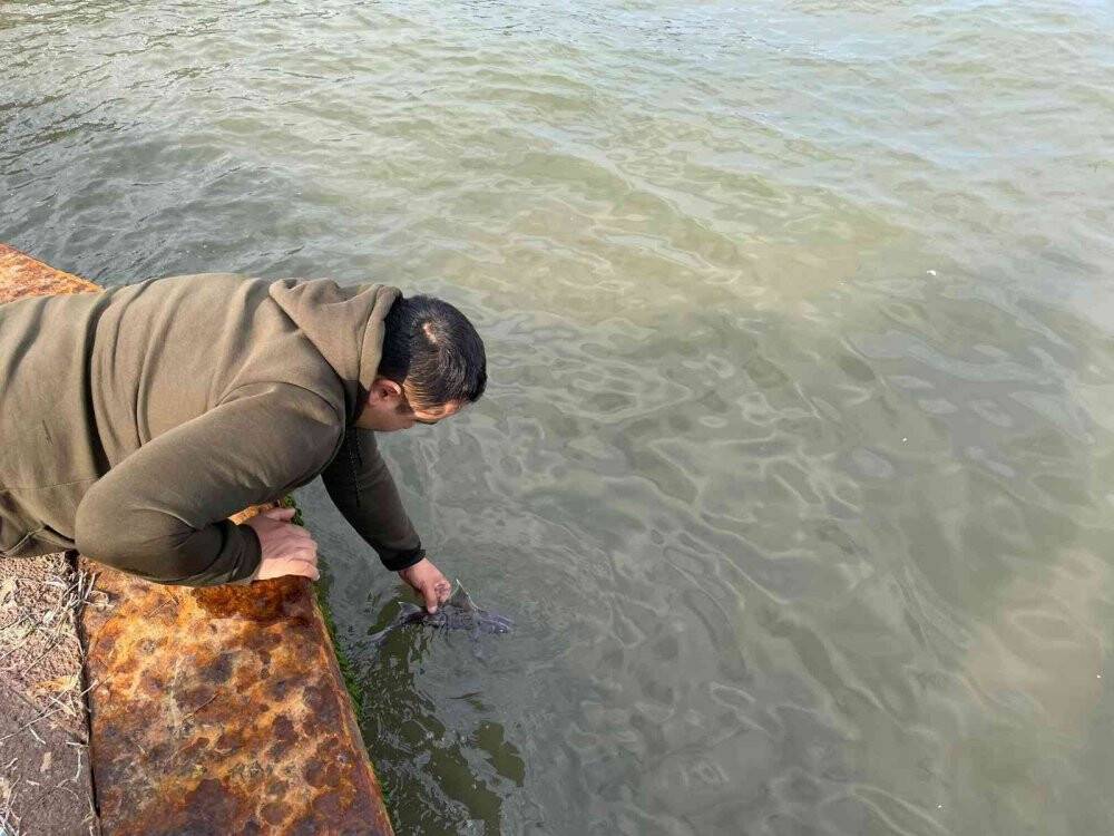 Oltasına takılan balık şaşkınlık verdi