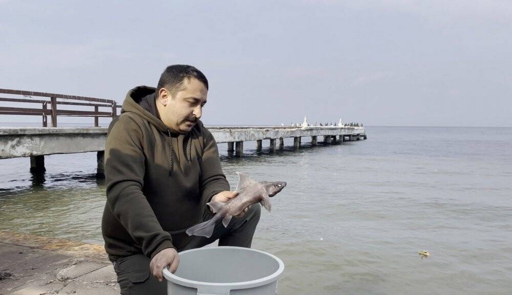 Oltasına takılan balık şaşkınlık verdi