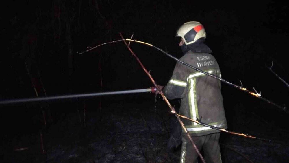 Ormanlık alanda korkutan yangın