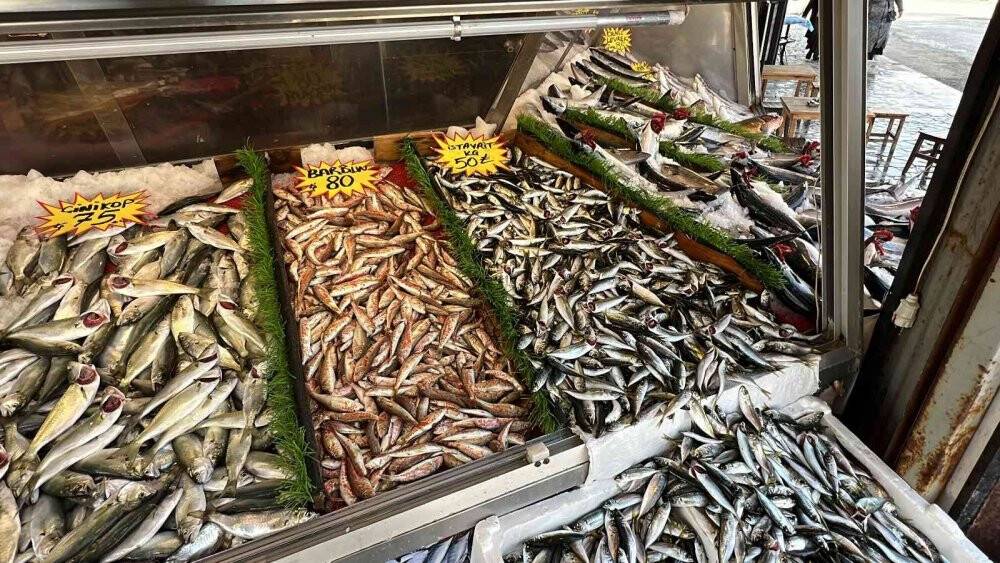 Palamuttan sonra gelen hamsi yüz güldürüyor