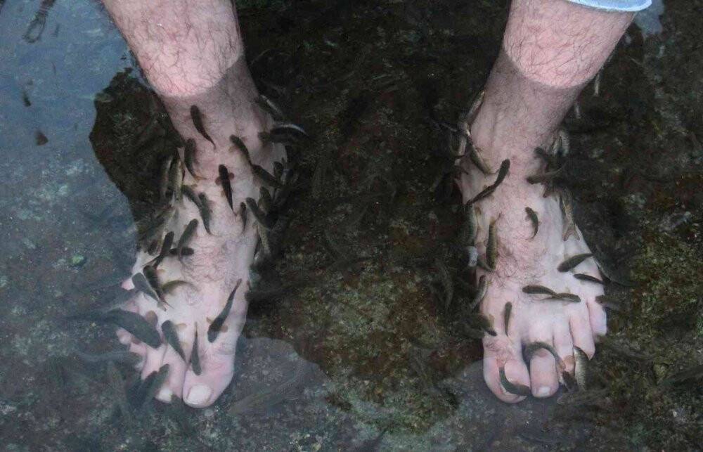 Çalıntısı şifa değil tehlike saçıyor