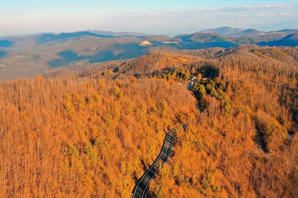 O şehirde sonbahar ayrı güzel