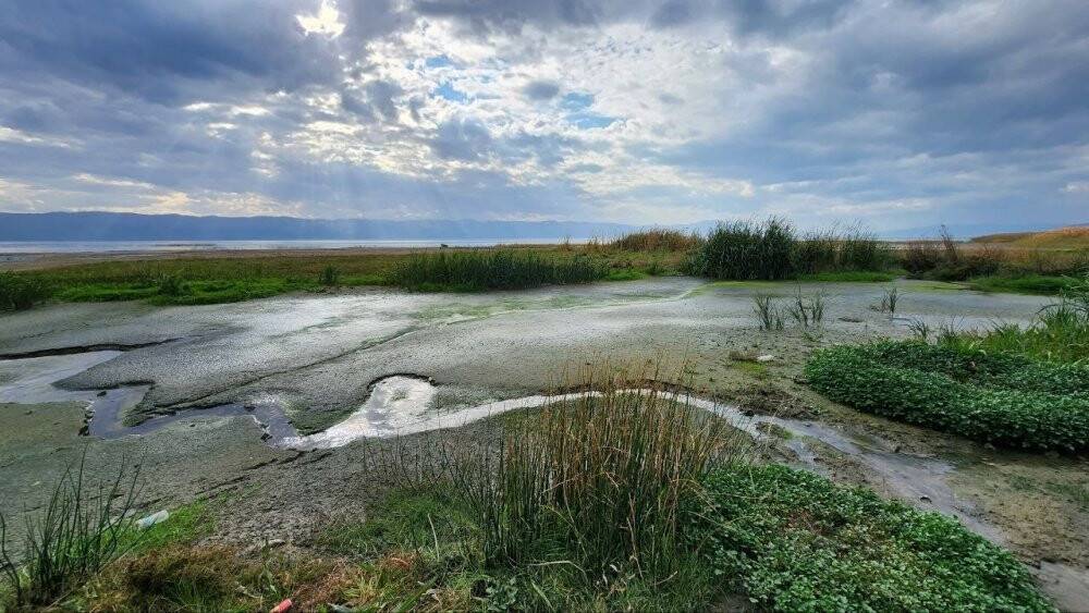 Türkiye'nin 5.büyük gölünde korkulan oldu