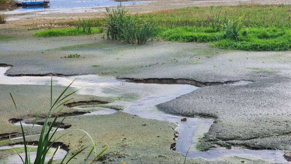 Türkiye'nin 5.büyük gölünde korkulan oldu