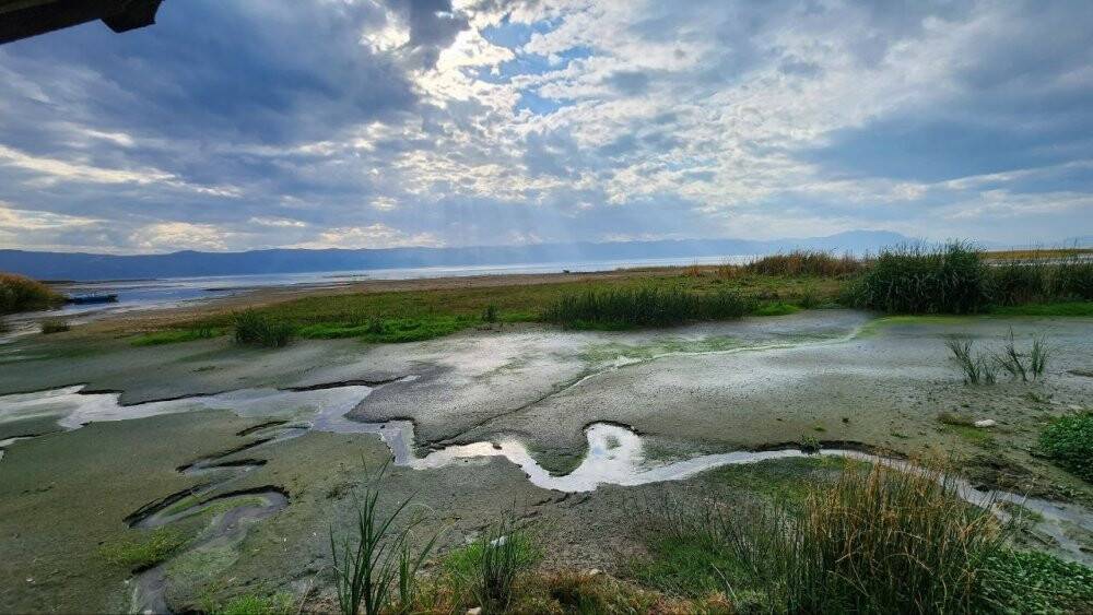 Türkiye'nin 5.büyük gölünde korkulan oldu