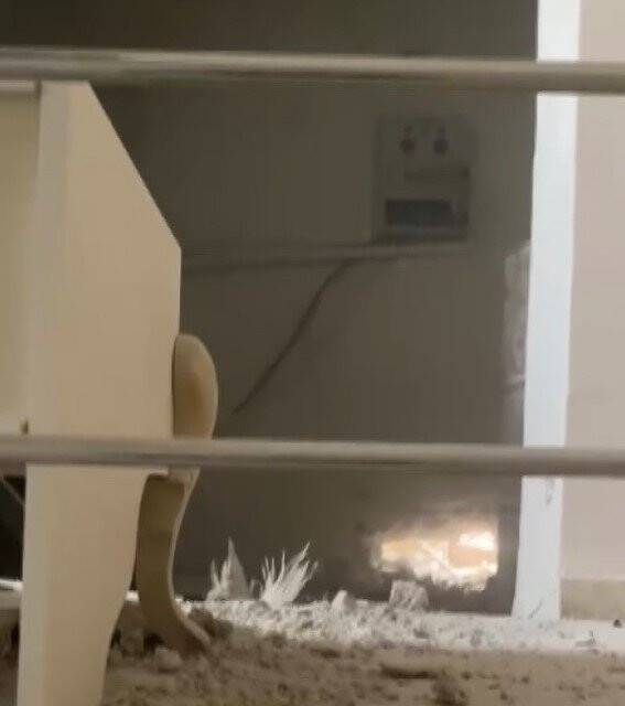 5 yaşında PKK terörüne kurban gitti