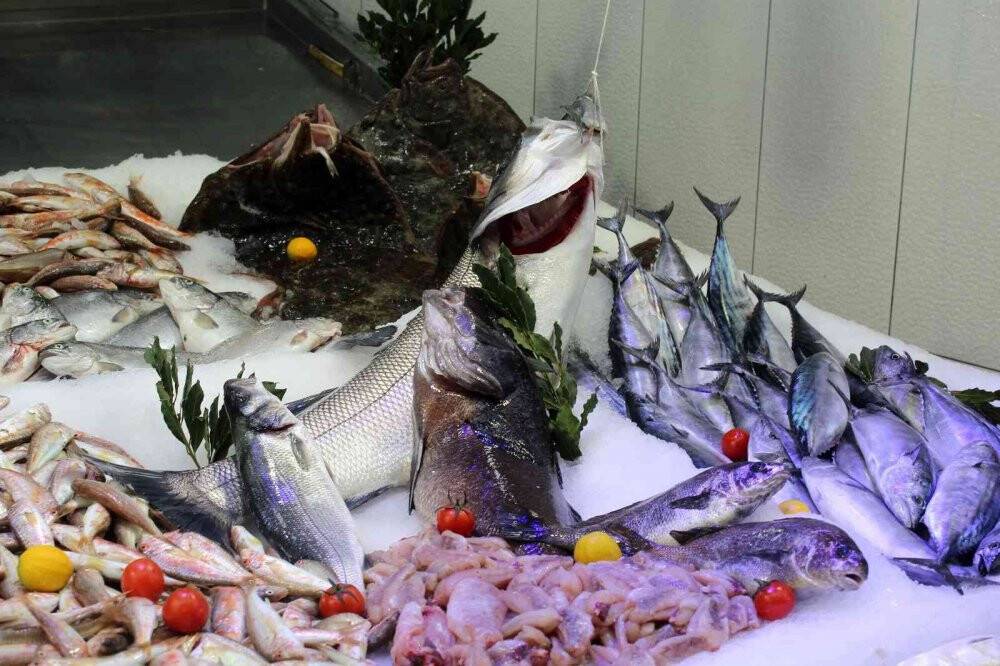 Bu balık tek başına 2 bin 100 liraya satılıyor