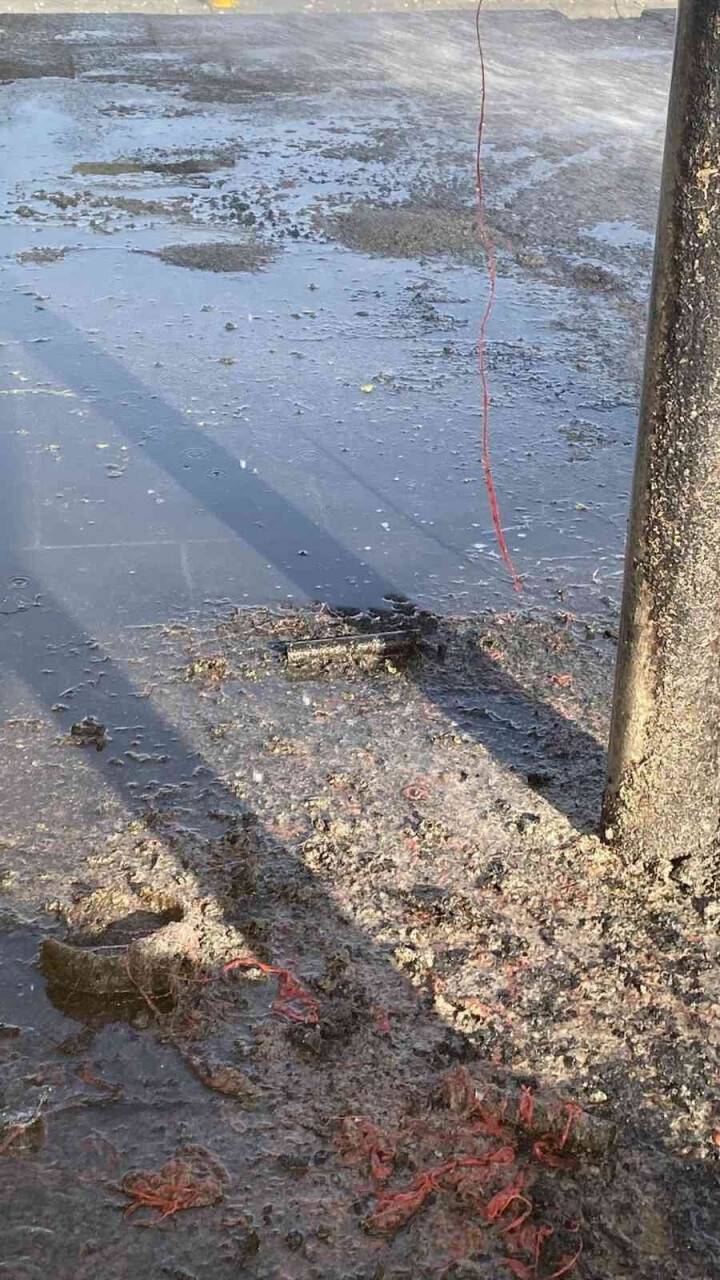 Çocuk parkında dehşet anları