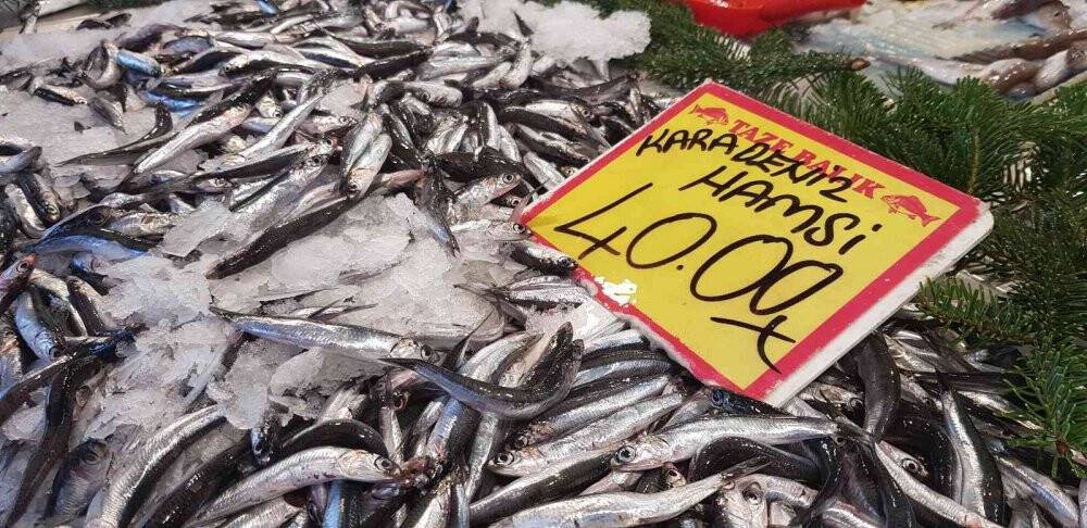 Hamsi 40 liradan tezgahlardaki yerini aldı