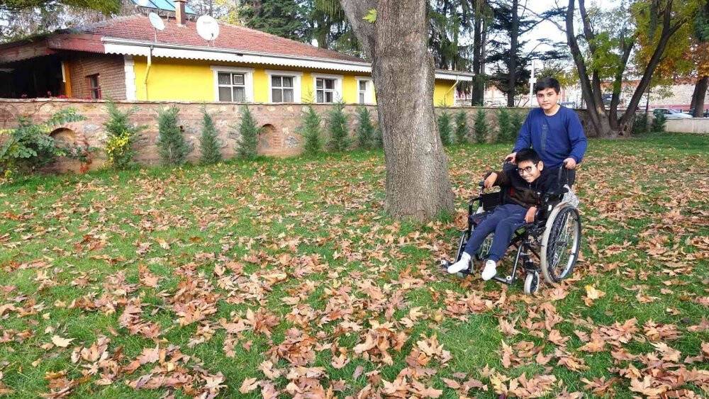 O ilde sonbahar yapraklarının süpürülmesi yasaklandı