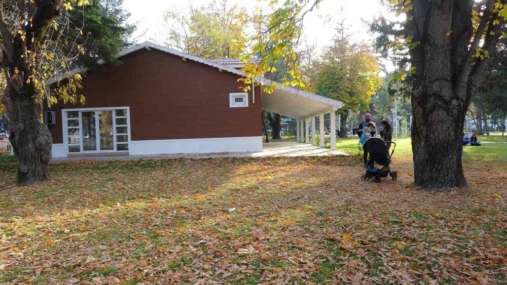 O ilde sonbahar yapraklarının süpürülmesi yasaklandı