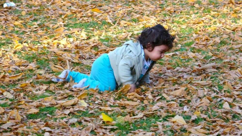 O ilde sonbahar yapraklarının süpürülmesi yasaklandı
