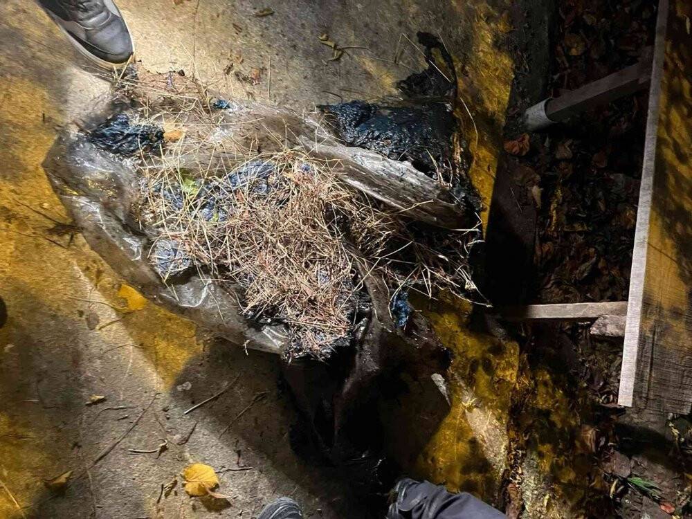 Samanlık yangınında faciadan dönüldü