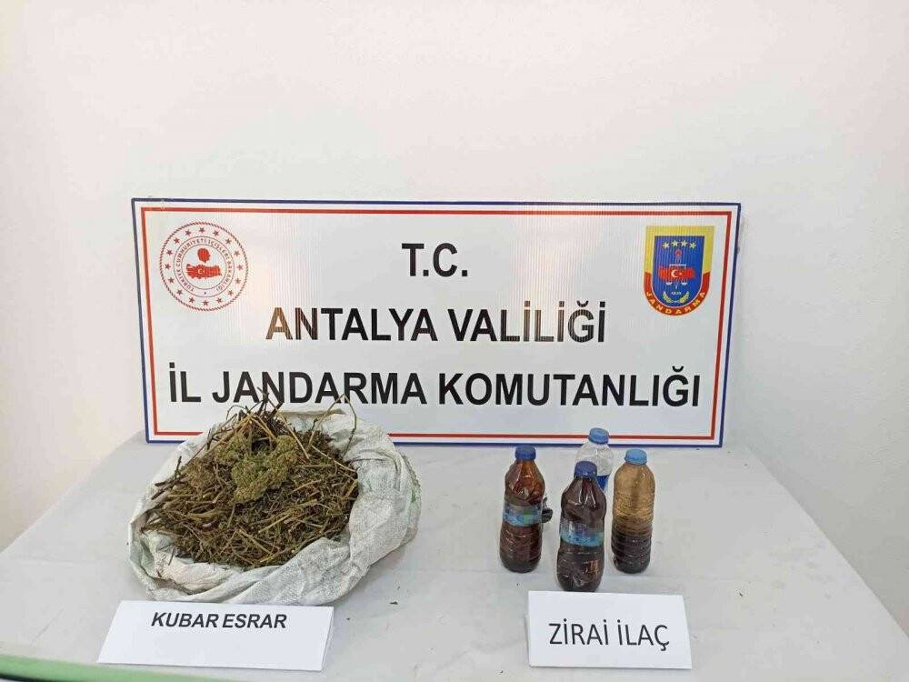 Zehir tacirleri bu seferde muz bahçesini seçti