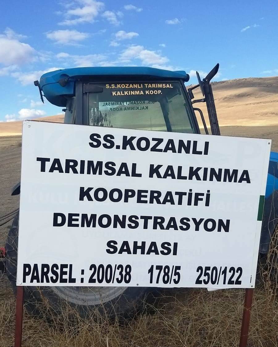 Kulu’da ketencik ekimi başladı