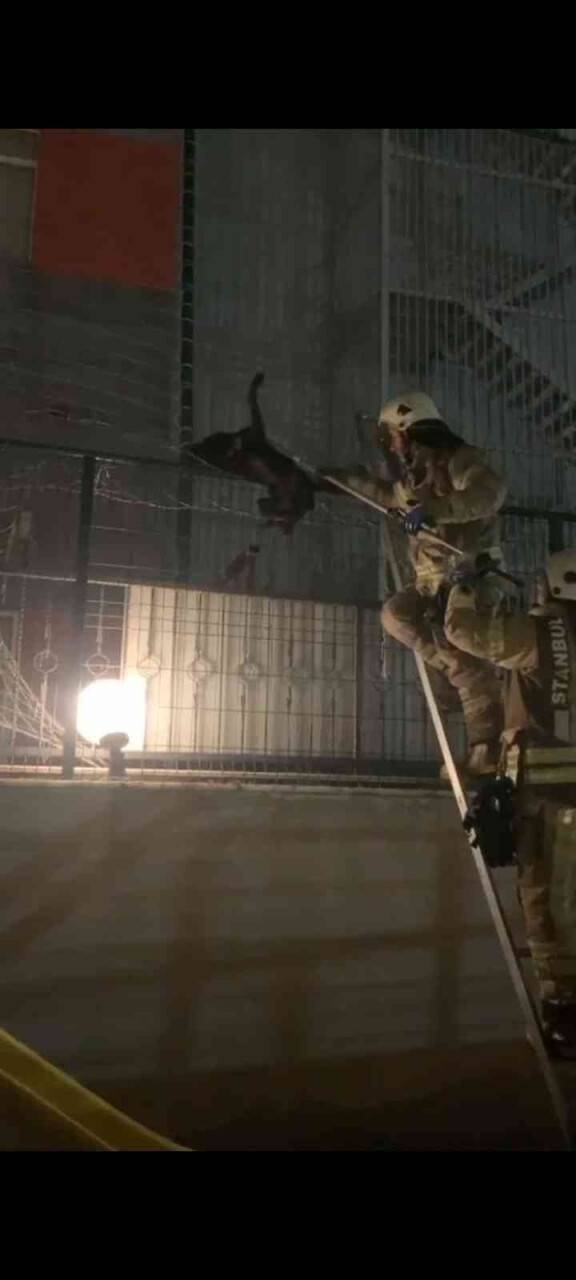 Tellere sıkıştı, itfaiye kurtardı