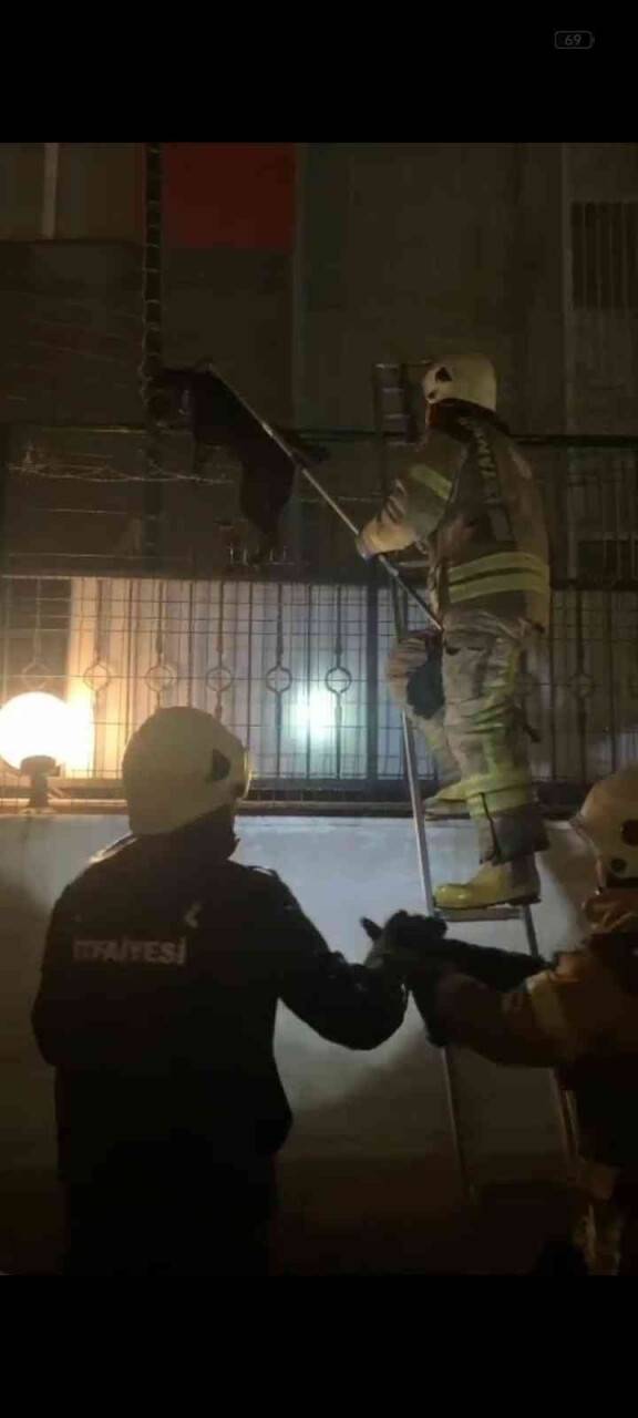 Tellere sıkıştı, itfaiye kurtardı