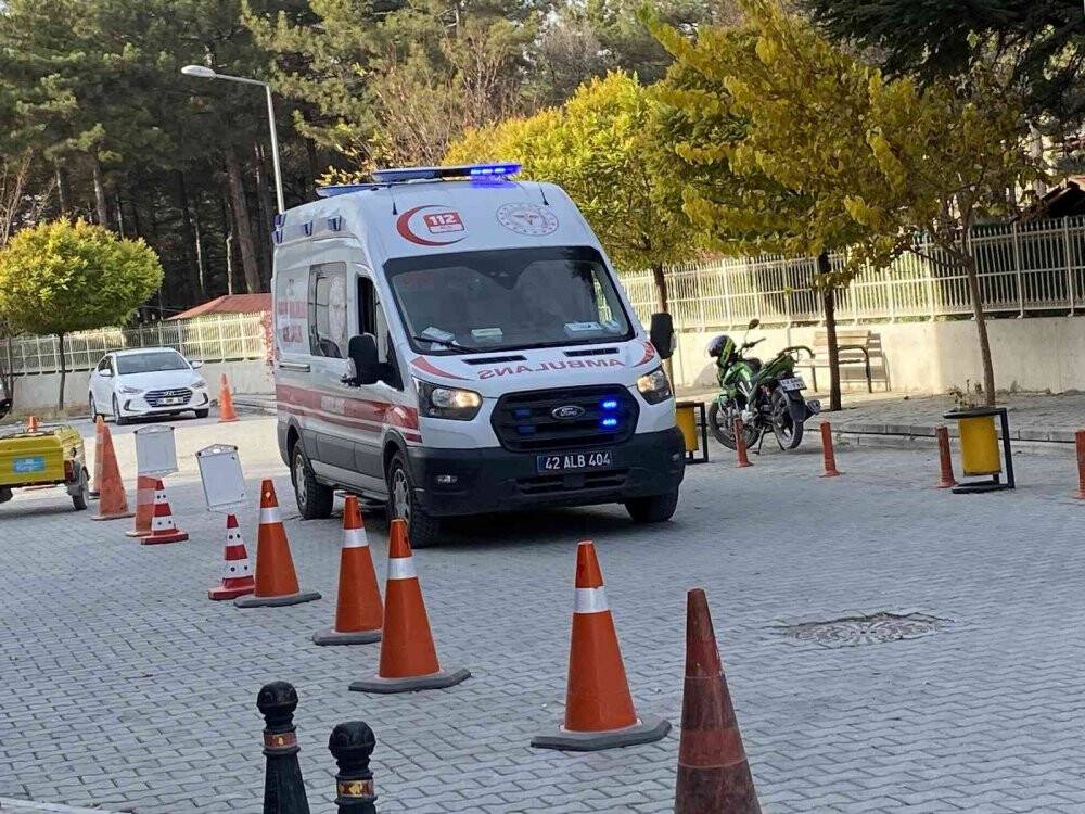 Köpeğe çarpan otomobil şarampole devrildi