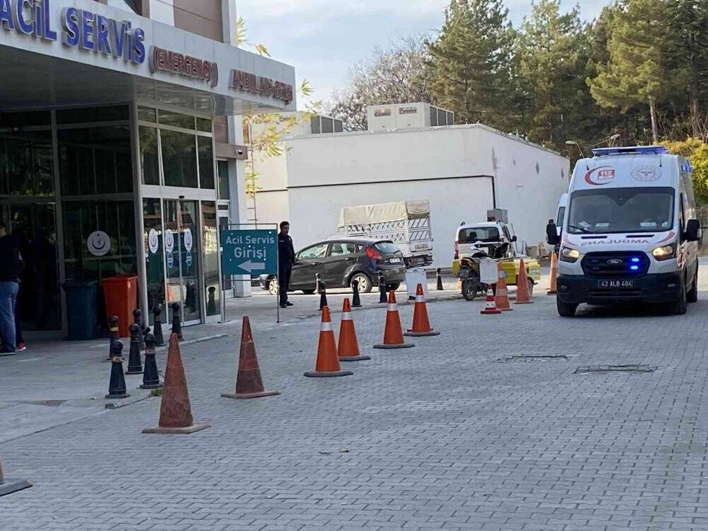 Köpeğe çarpan otomobil şarampole devrildi