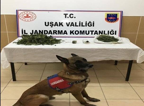 Uşak’ta 2 uyuşturucu taciri tutuklandı