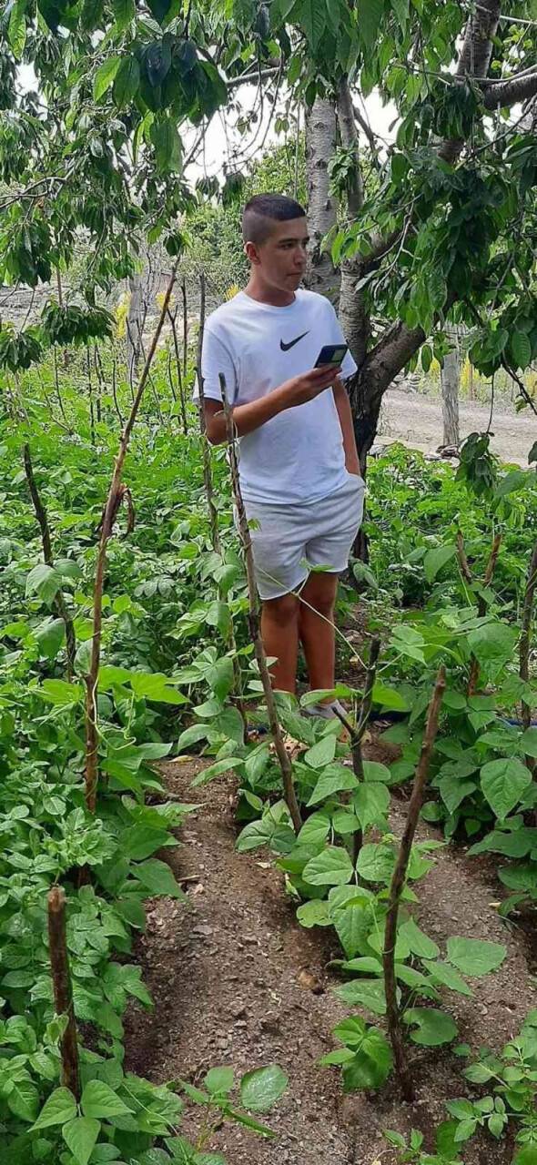 Araba sevdasıyla çıktıkları yol mezar oldu