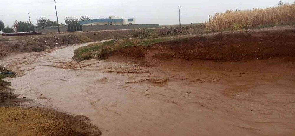 O şehirde şiddetli yağmurda dereler taştı
