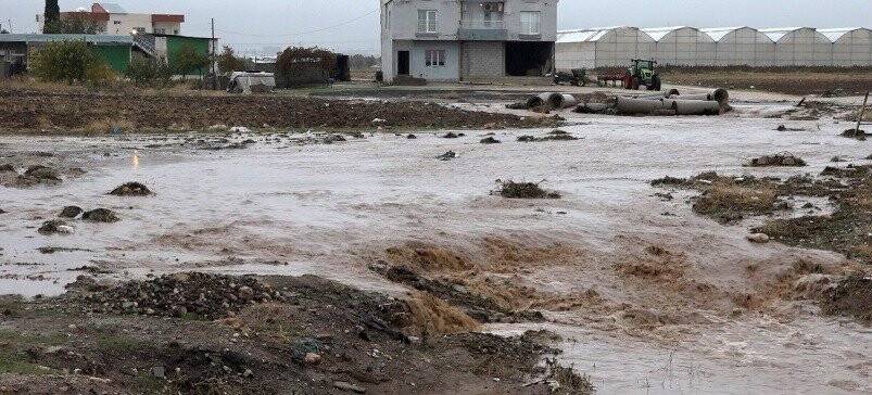 O şehirde şiddetli yağmurda dereler taştı