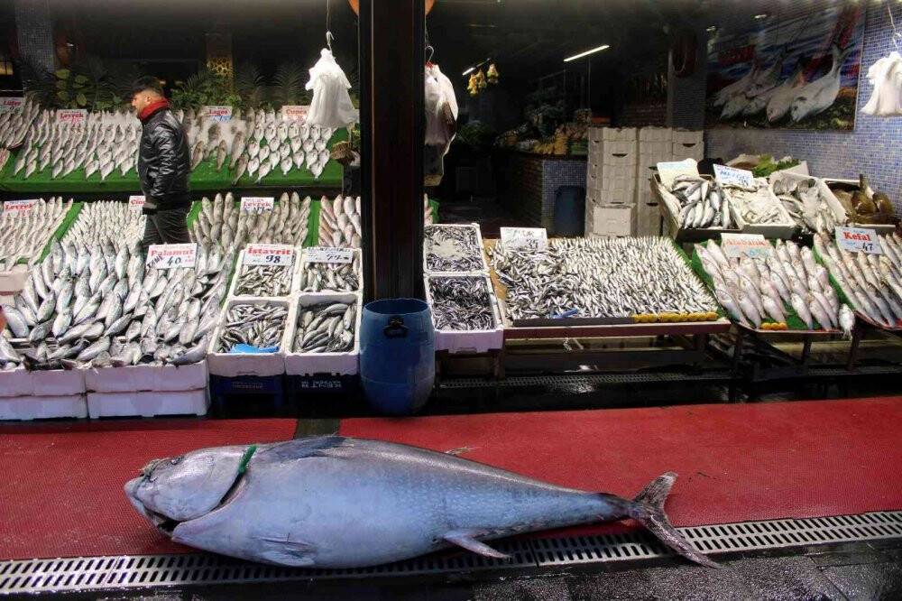 Dev orkinos ilgi odağı oldu