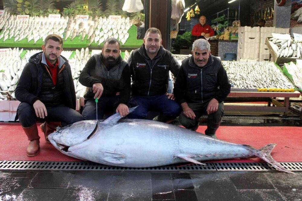 Dev orkinos ilgi odağı oldu