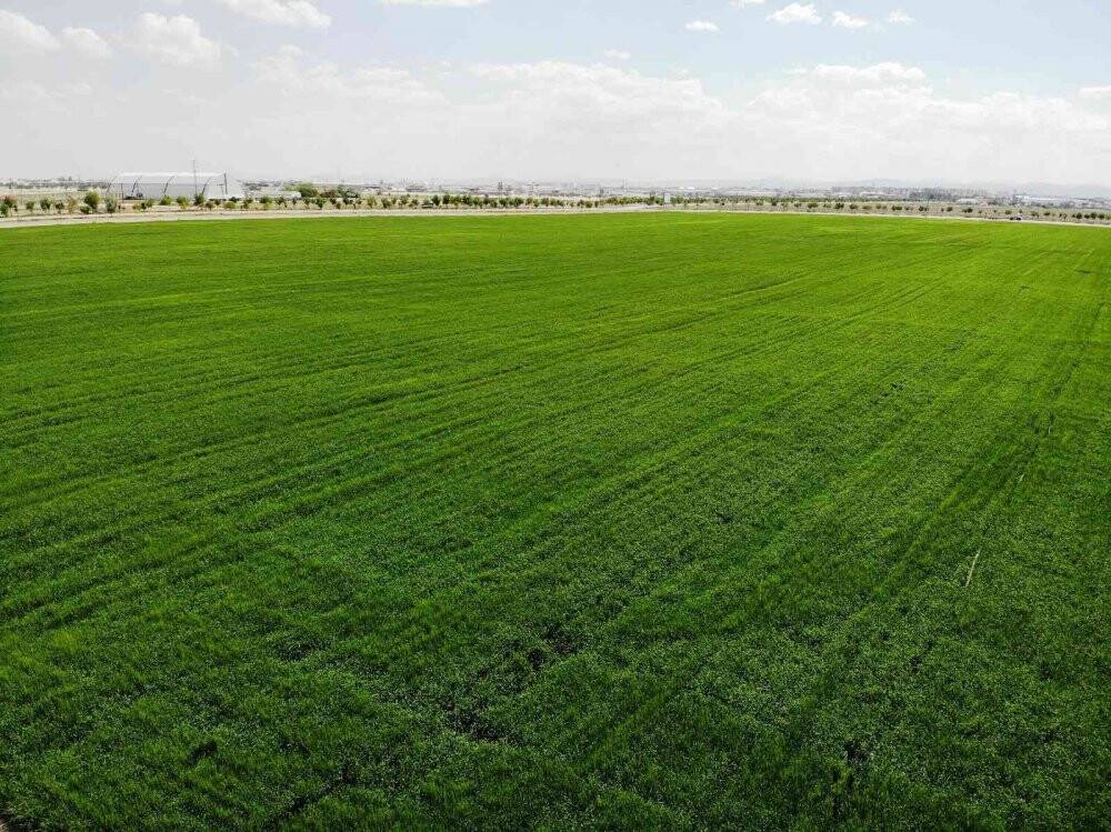 Konya Ovası'nda gübre kullanımı verim ve kalitenin artmasında büyük rol oynadı
