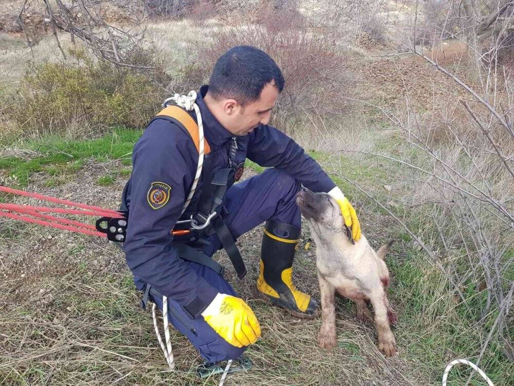 Kuyuya düşen köpek için zamanla yarıştılar