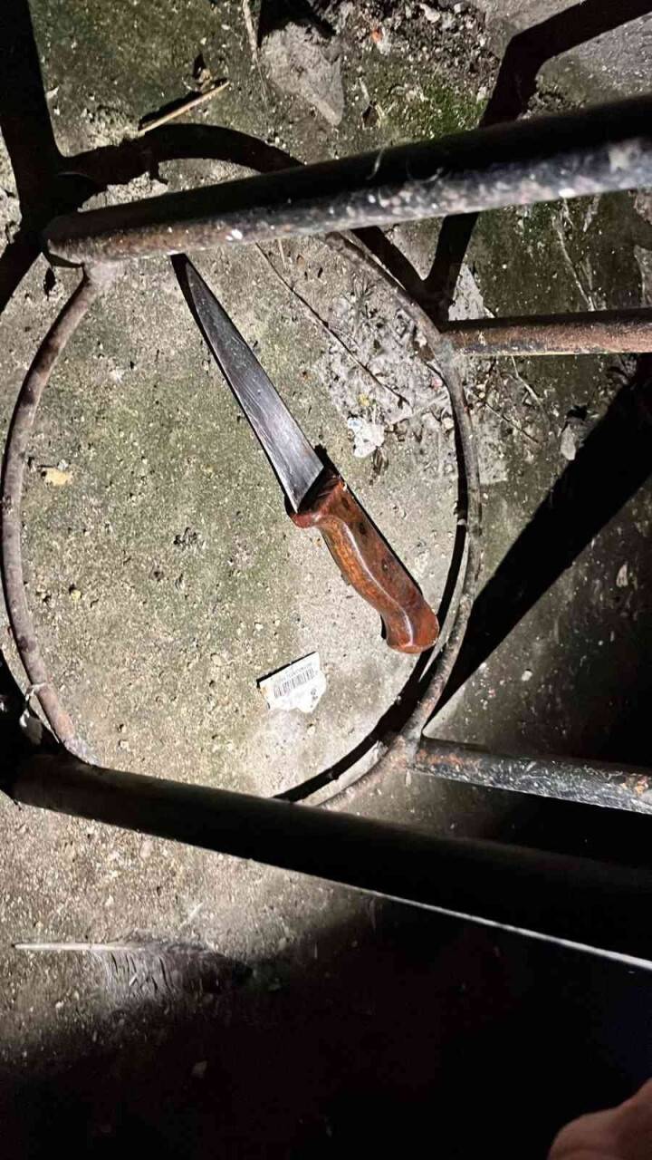 Çalışmak isteyen eşini öldürdü