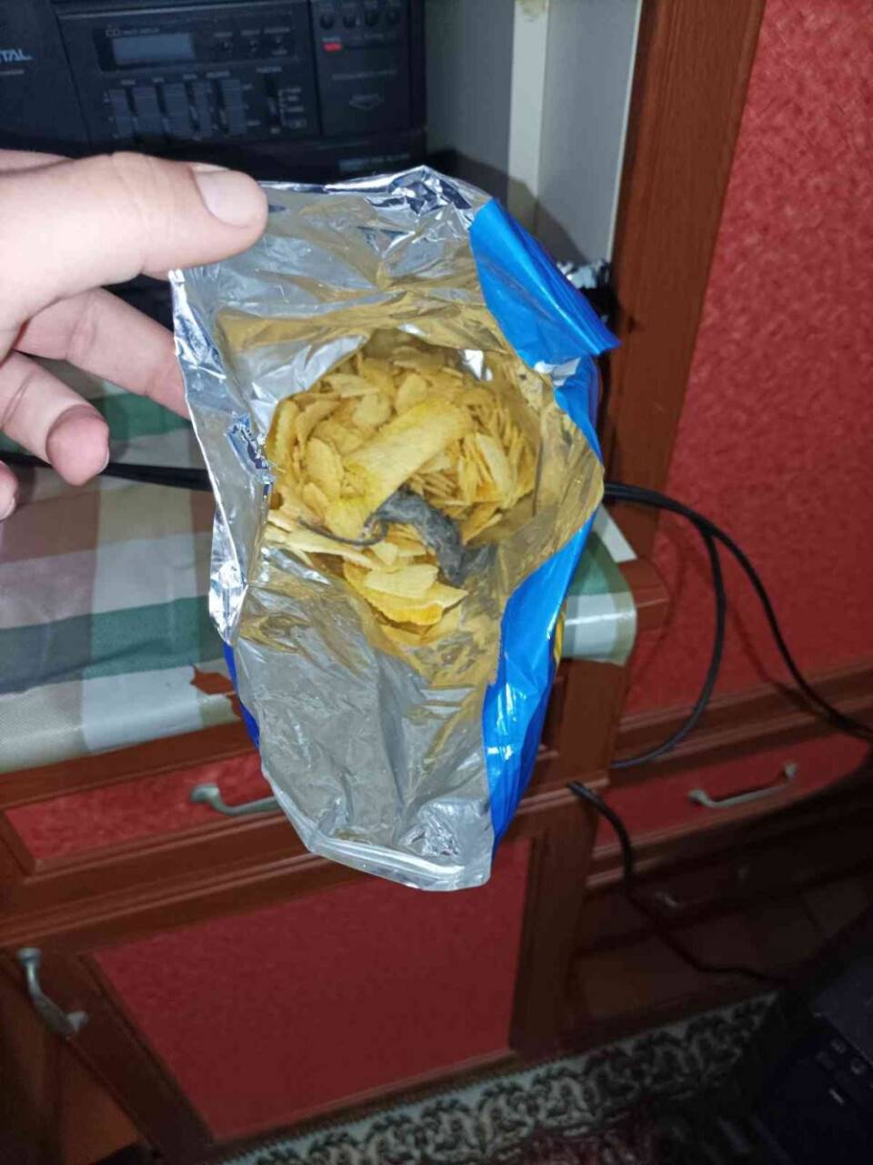 Cips poşetindeki fareye takipsizlik