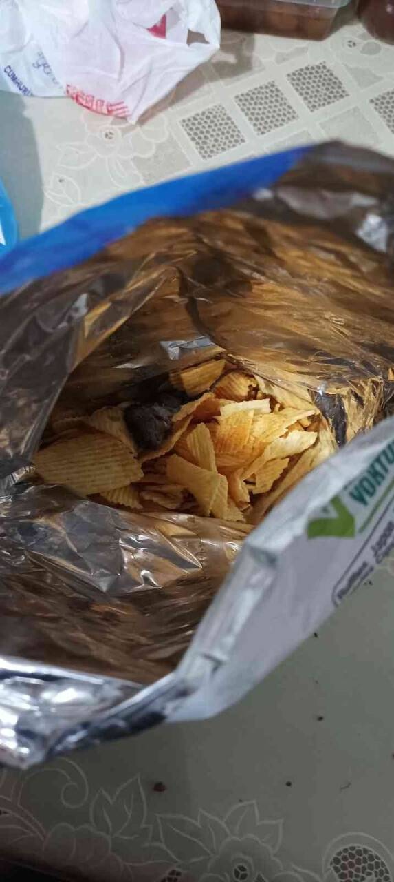 Cips poşetindeki fareye takipsizlik