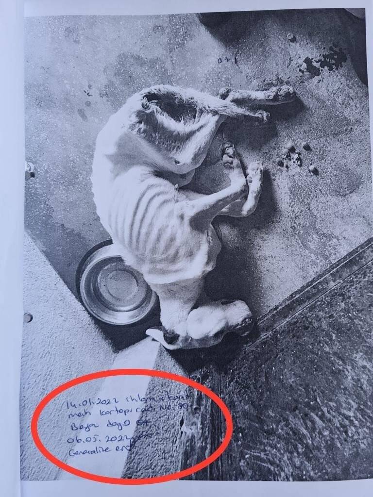 Skandal görüntülere ilginç savunma