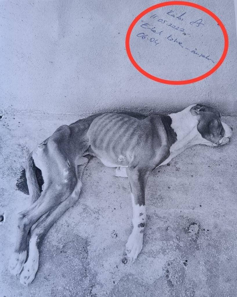 Skandal görüntülere ilginç savunma