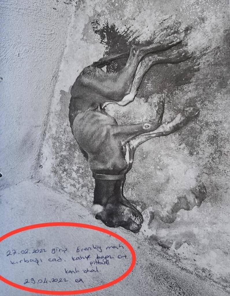 Skandal görüntülere ilginç savunma