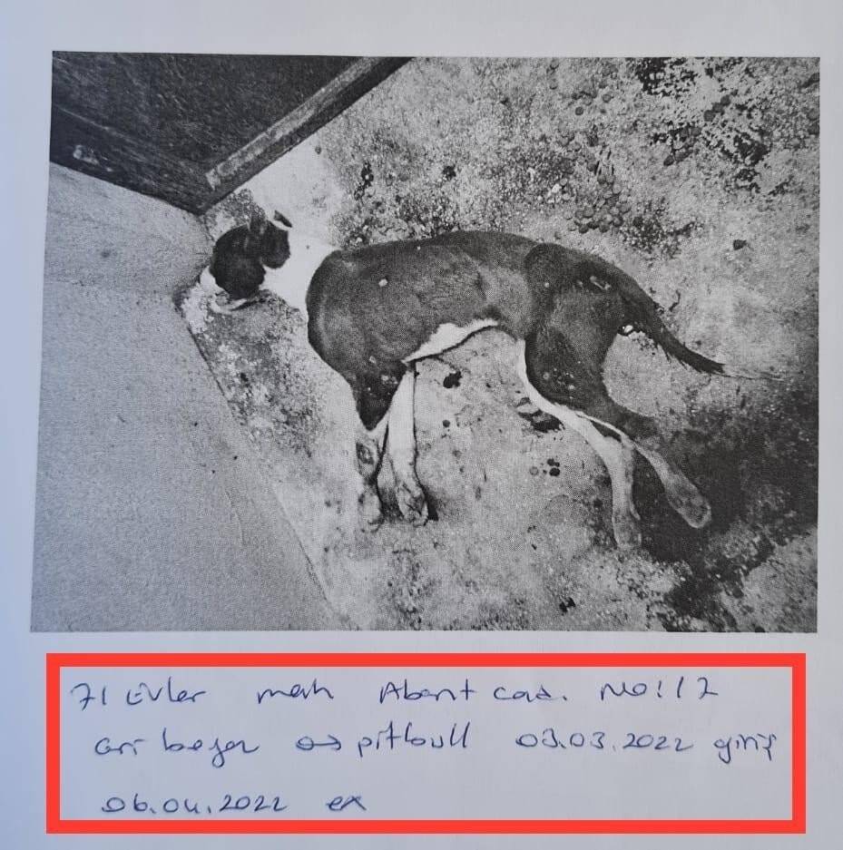 Skandal görüntülere ilginç savunma