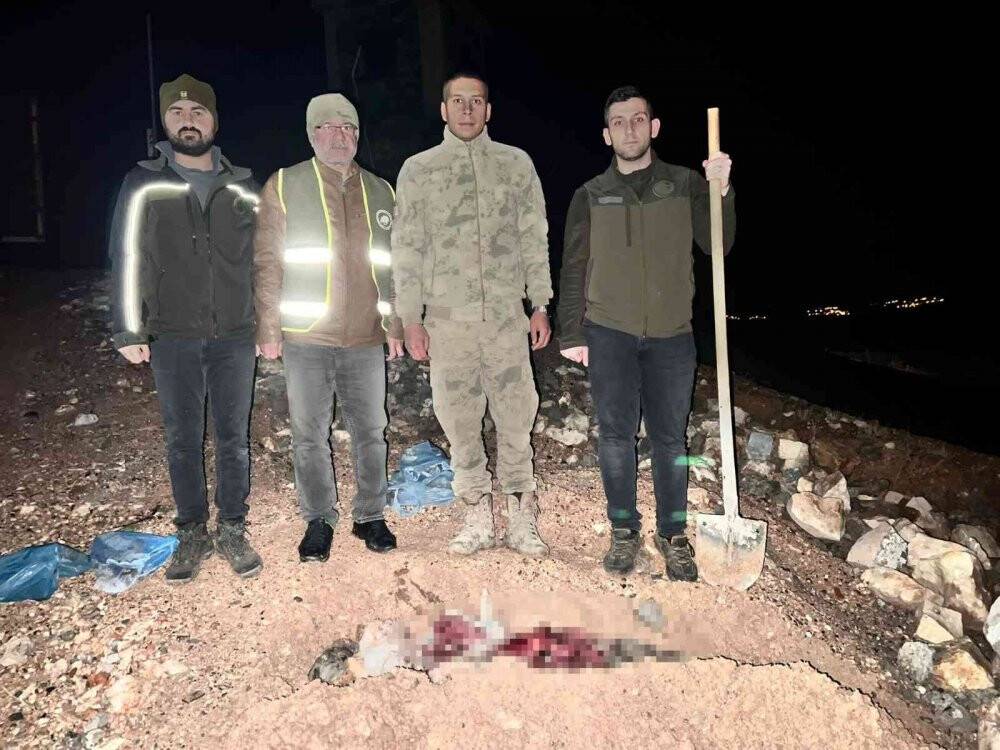 Koruma altındaki o hayvanı öldüren şahsa ve kaçak avlanan 11 kişiye para cezası