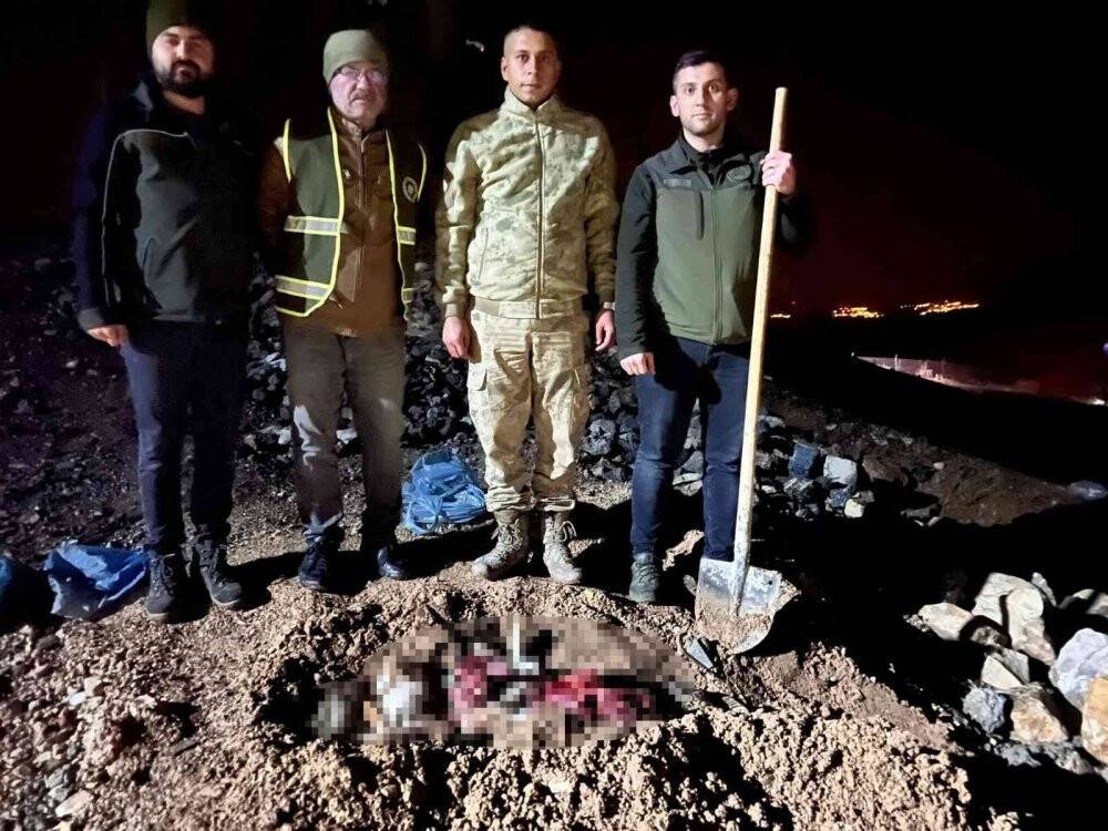Koruma altındaki o hayvanı öldüren şahsa ve kaçak avlanan 11 kişiye para cezası