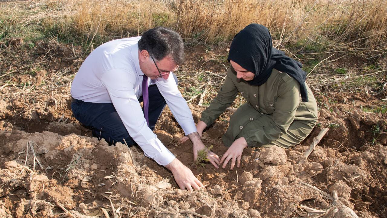 su-saricalar-arastirma-ve-uygulama-ciftliginde-12-bin-fidan-dikildi-1.jpg