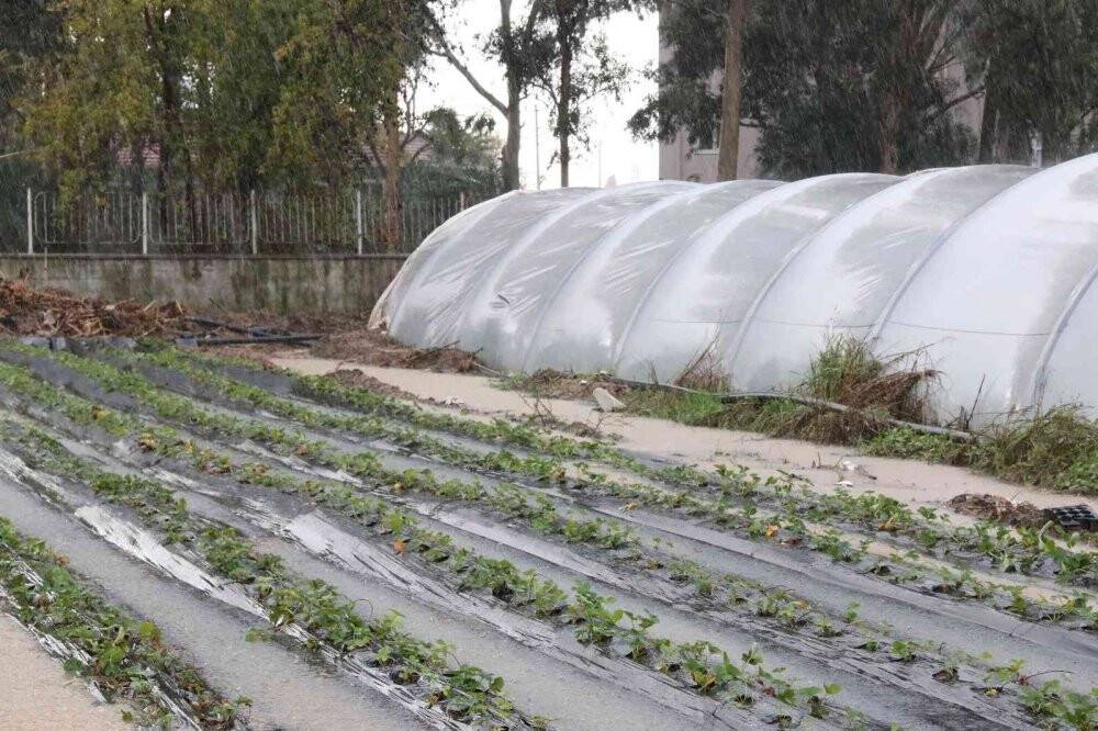 Çilek seraları sular içinde kaldı
