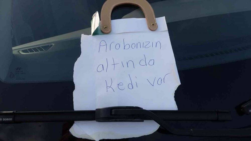 Otomobilin motor kısmından, dönerin kokusunu alınca çıktı