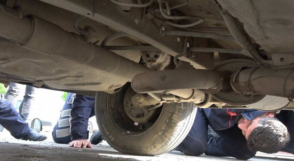 Otomobilin motor kısmından, dönerin kokusunu alınca çıktı