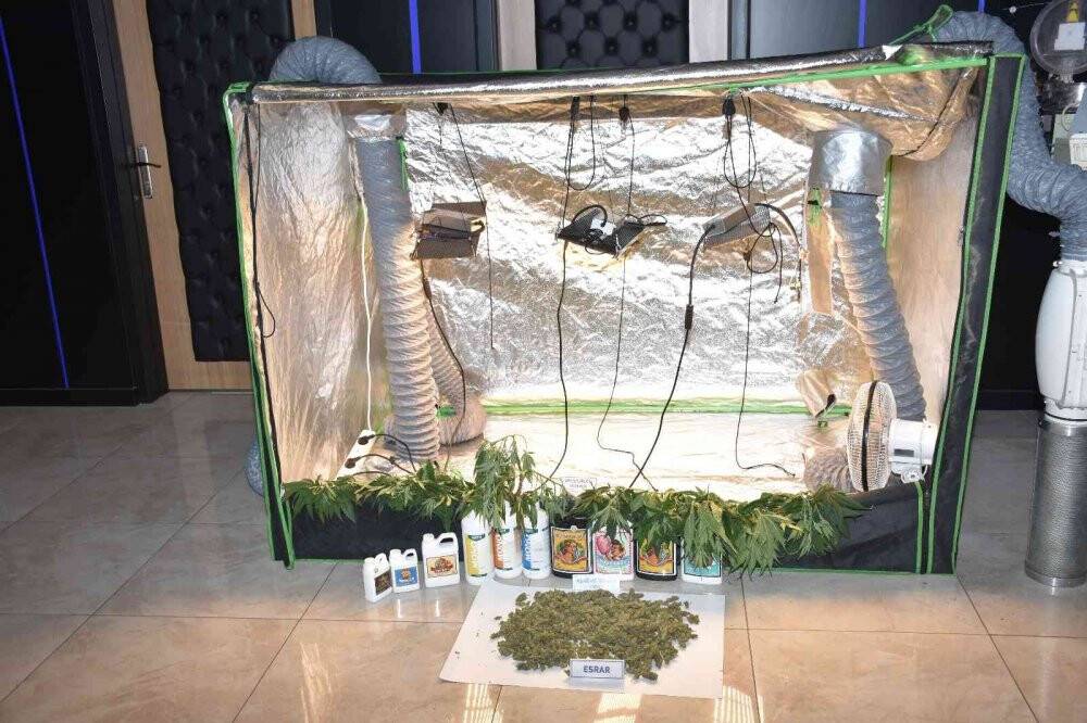 Narkotik operasyonda 31 kişi tutuklandı